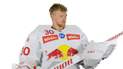 Happy Sport Sticker by EC Red Bull Salzburg