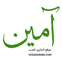 Faith Prayer Sticker by VeganArabs