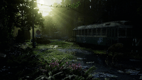 Forest Landscape GIF