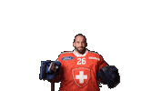 Celebrate National Team Sticker by Swiss Ice Hockey
