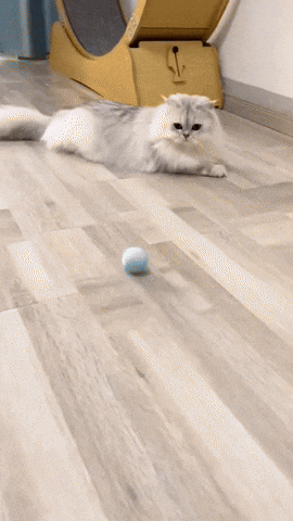 da8cc40f3e00416888ce5bd1b168f707 giphysubir GIF
