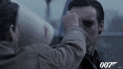 Yank Pierce Brosnan GIF by James Bond 007