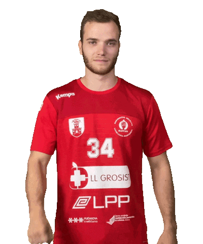 rdslovan giphyupload slovenija slovan rokomet Sticker