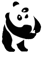 Panda Luxurycars Sticker by AniMattify