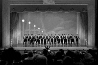 the best GIF by Maudit