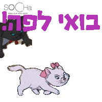 soChaisrael socha sochabranding sochacompany Sticker