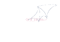 Bat Flying Sticker