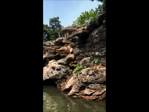lesleywake giphygifmaker GIF