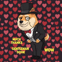 Shiba Inu Love GIF by Doge Pound