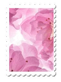 Flores Turismo Sticker by El Tortugazo