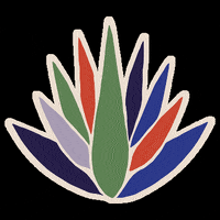 Plant GIF by Mezcal Rosaluna