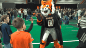 Mascot Bengals GIF by Idaho State University