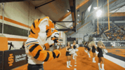 Football Mascot GIF by Idaho State University