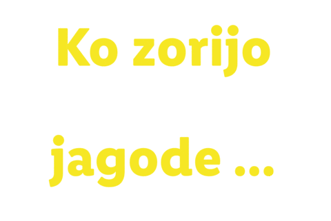 Domace Sticker by Lidl Slovenija