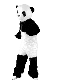 Happy Winner Sticker by WWF Deutschland