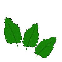 snack kale Sticker by Leti Romano