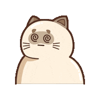 Confused Cat Sticker