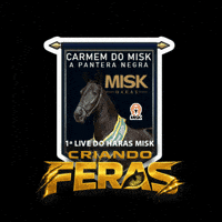 Mangalarga Marchador GIF by Haras Misk