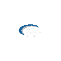 Libertadores Sticker by ABSOLUT Sport Brasil