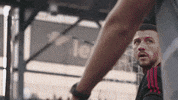 Major League Soccer Football GIF by D.C. United