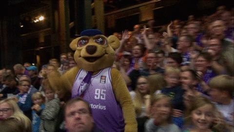 bundesliga basketball dance GIF by easyCredit Basketball Bundesliga