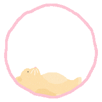 Loading No Sticker