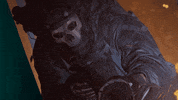 Modern Warfare 2 Ghost GIF by Call of Duty