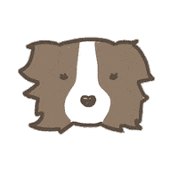 lillieandgarcello dog 犬 bordercollie りちゃん Sticker