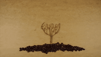 stop motion time GIF by SoulPancake