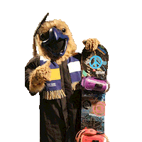 Snowboard Colorado Sticker by Fort Lewis College