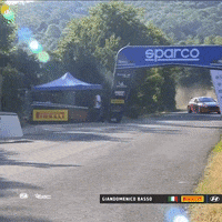 Disappointed Epic Fail GIF by FIA European Rally Championship