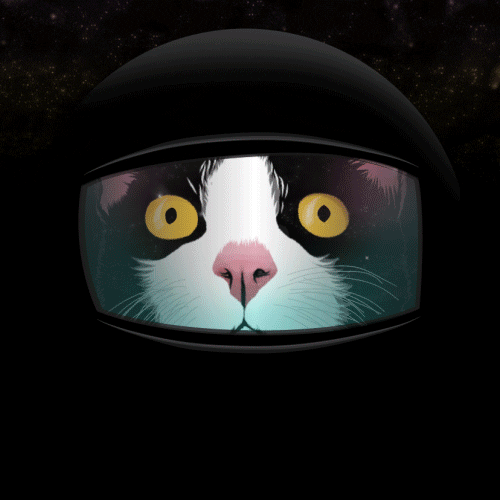 Cat Art GIF by Falcao Lucas