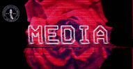 nycDSA design glitch vhs rose GIF