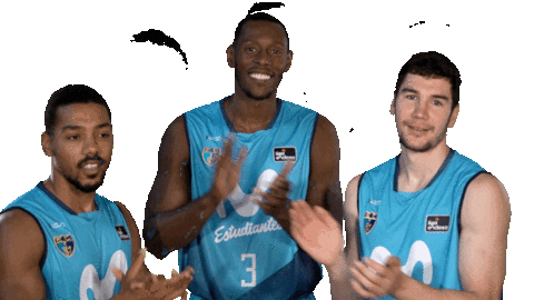 Liga Endesa Basketball Sticker by ACB