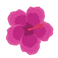 Amapola Sticker by VoyTuristeando