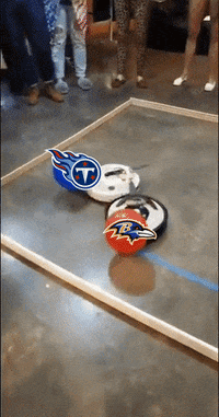 FanDuel fight sports football funny GIF