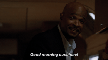 fox broadcasting riggs GIF by Fox TV