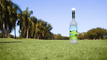 FuzzysVodka golf drunk drinking smash GIF