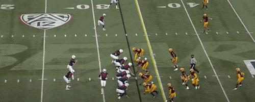 nfalato11 giphyupload GIF