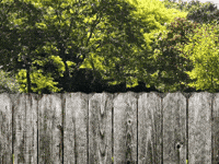 Looking I See You GIF by Sincere Hope