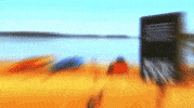 cmt challenge GIF by Redneck Island