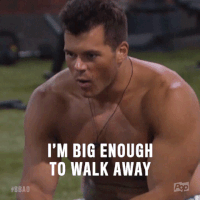bigbrotherafterdark big brother bbad big brother after dark bb19 GIF
