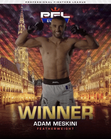 Ufc Win GIF by Old School Academy