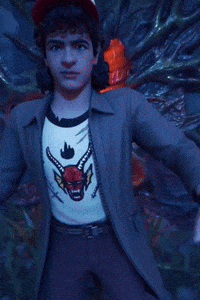 Stranger Things Dustin GIF