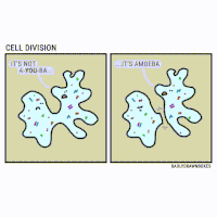 cell ennui GIF
