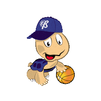 Turtle Verona Sticker by Buster Basket