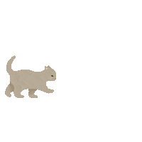 kkvng cat animal pet kitten Sticker