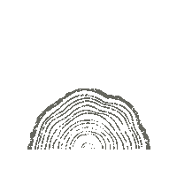 CornerTreeCafe cornertreecafe corner tree cornertree corner tree cafe Sticker