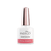 Sorry Collection Sticker by Indigo Nails