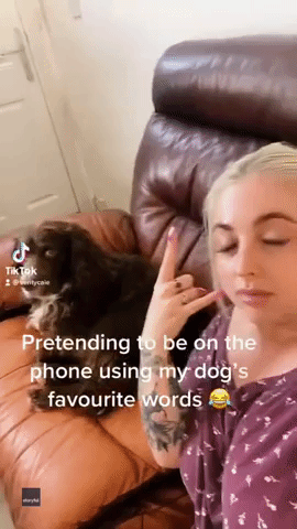 Dog Goes Nuts When Owner Says Favorite Words
